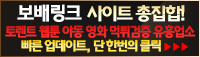 BOBAELINK banner 06